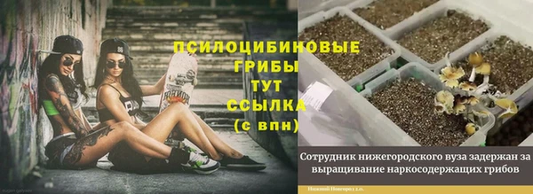 спиды Баксан