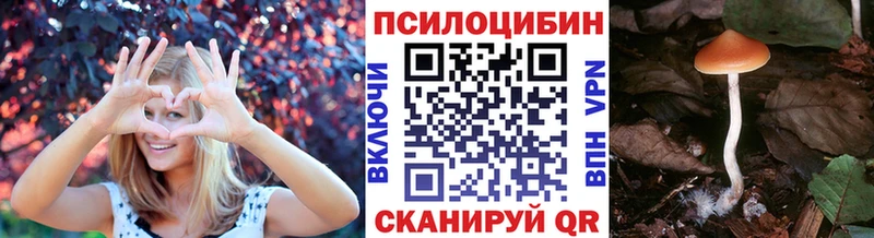 Галлюциногенные грибы прущие грибы  Юрьевец 